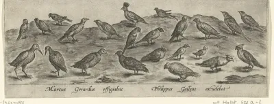 Drieëntwintig vogels