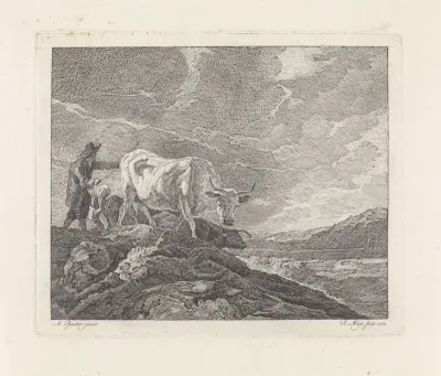 Drijven van de koeien