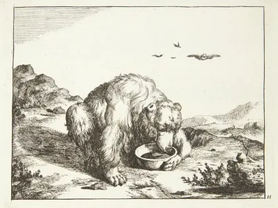Drikkende bjørn