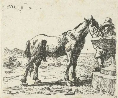 Drinkend paard
