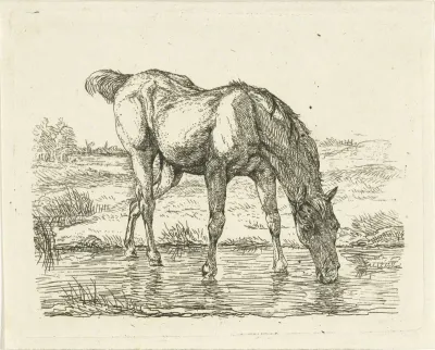 Drinkend paard