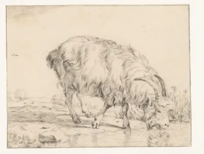 Drinkende bok