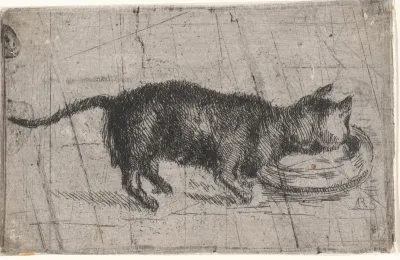 Drinkende kat