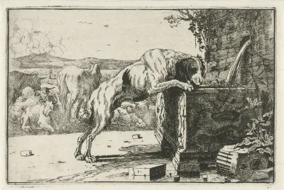 Drinking Dog