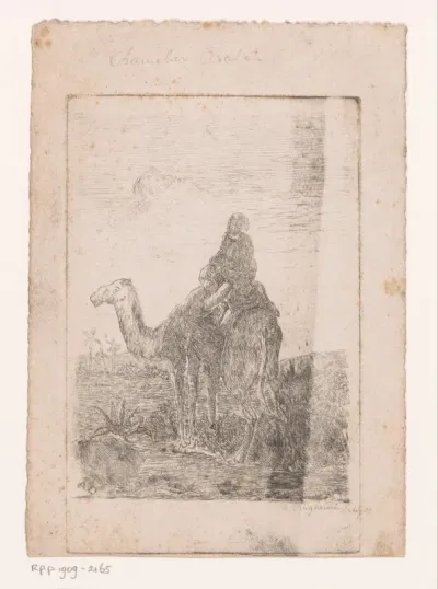 Dromedaris met ruiter in een landschap