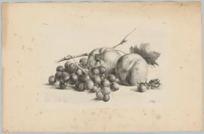 Druiven, perziken en hazelnoten