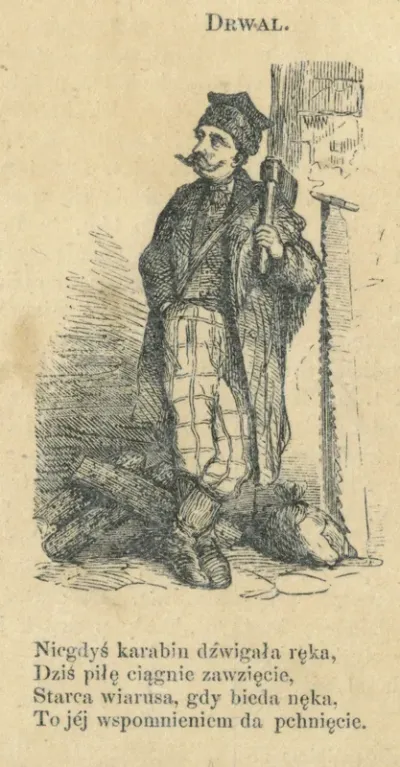Drwal