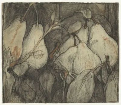 Duchesse d'Angouleme-peren