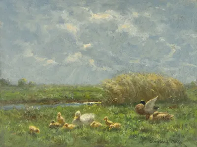 Duck family in a polder landscape