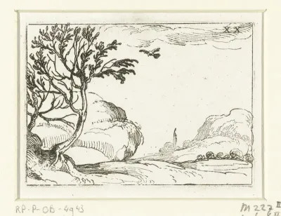 Duif in de woestijn