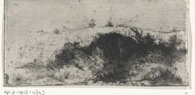 Duinen
