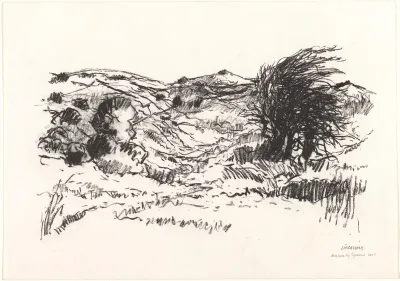 Duinen bij Egmond