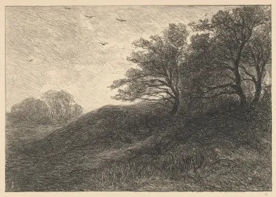 Duinen bij Haarlem