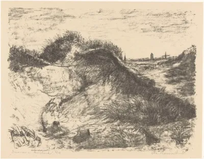 Duinen in Ameland