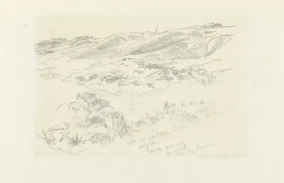 Duinlandschap