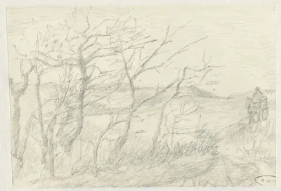 Duinlandschap