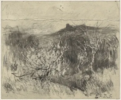 Duinlandschap