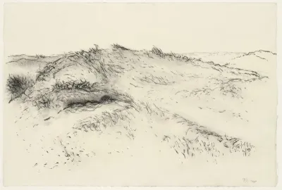 Duinlandschap
