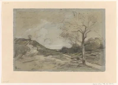 Duinlandschap