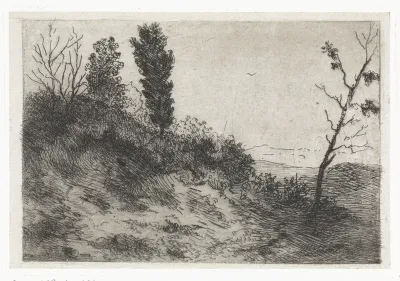 Duinlandschap