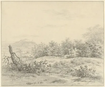 Duinlandschap bij Bloemendaal