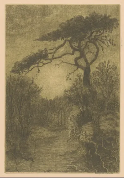 Duinlandschap bij nacht
