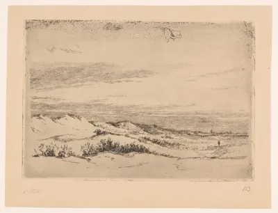 Duinlandschap bij Zandvoort