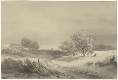Duinlandschap in somber weer