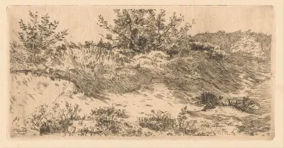 Duinlandschap met grassen en struiken