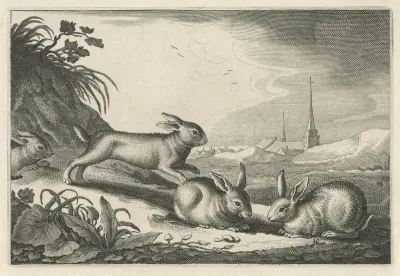 Duinlandschap met konijnen