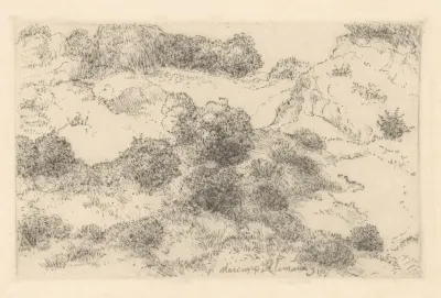 Duinlandschap met struiken