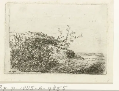 Duinlandschap met struiken