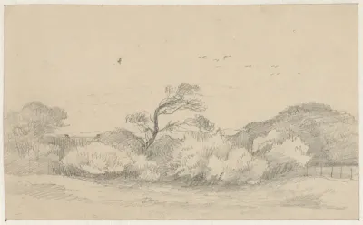 Duinlandschap Zorgvliet