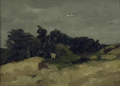 Dune landscape with a goat