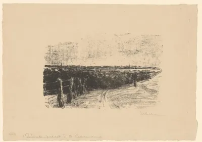 Dünenlandschaft