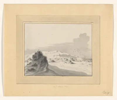 Dunes on Vlieland with Terschelling in the background