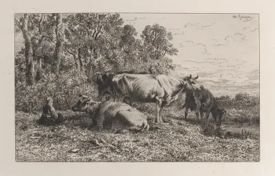 Dutch Cows