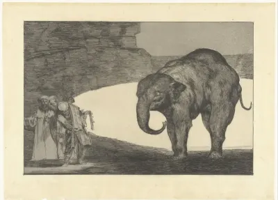 Dwaasheid van het beest