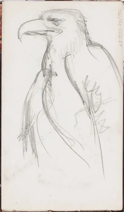Eagle