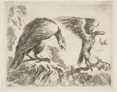 Eagle and eaglet, plate 2 from "Various Animals" (Diversi Animali)