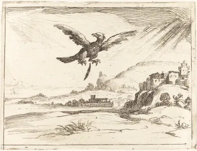 Eagle Losing an Old Feather