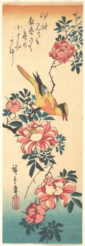 Eastern Grey Wagtail and Rose