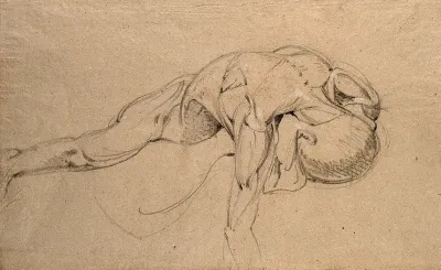 Écorché cadaver lying prone, with right arm hanging down