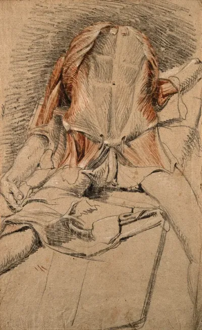 Écorché cadaver lying supine, front view, showing the muscles of the thorax