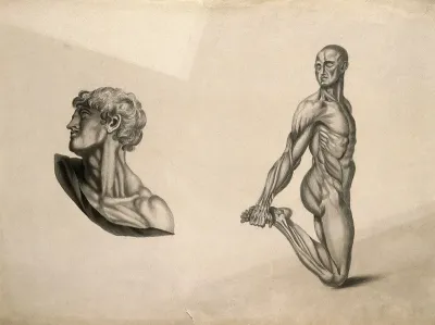 Écorché figure with right leg bent, holding foot behind him, and detail of a head and neck