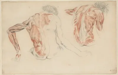 Ecorché: The Backs of Two Seated Figures