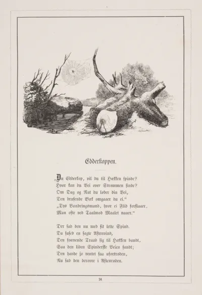 Edderkoppen. Illustration til H.V. Kaalund, "Fabler for Børn"