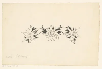 Edelweiss