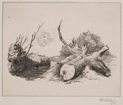 Ederkoppen