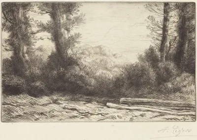 Edge of a Wood (Lisiere de bois)